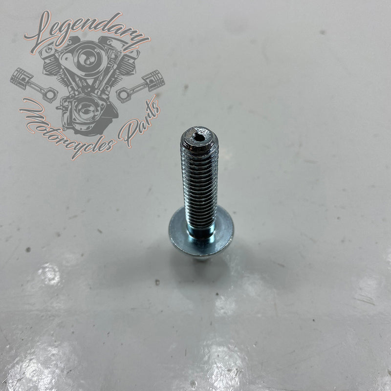 Tornillo de ventilación estilo original