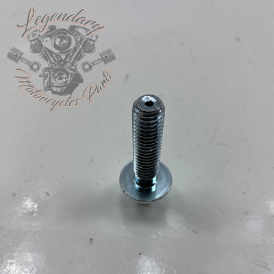 Tornillo de ventilación estilo original