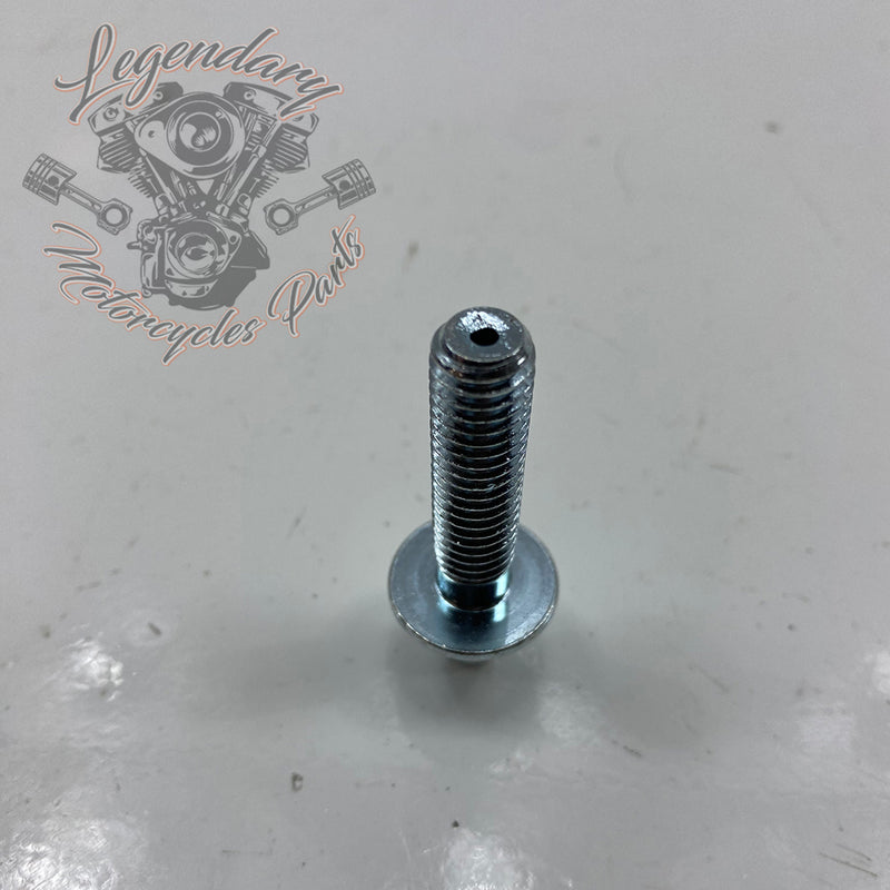 Tornillo de ventilación estilo original