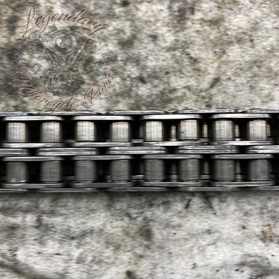Primary Chain OEM 40037-79A