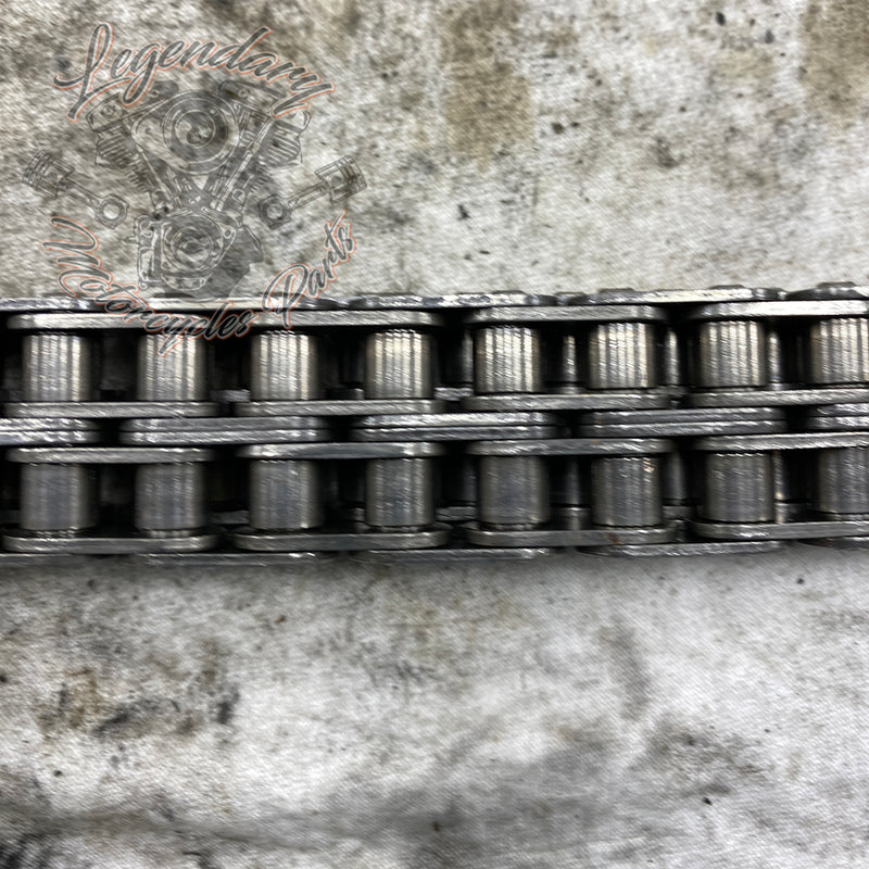 Primary Chain OEM 40037-79A