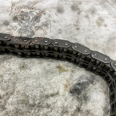 Primary Chain OEM 40037-79A