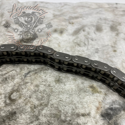 Primary Chain OEM 40037-79A