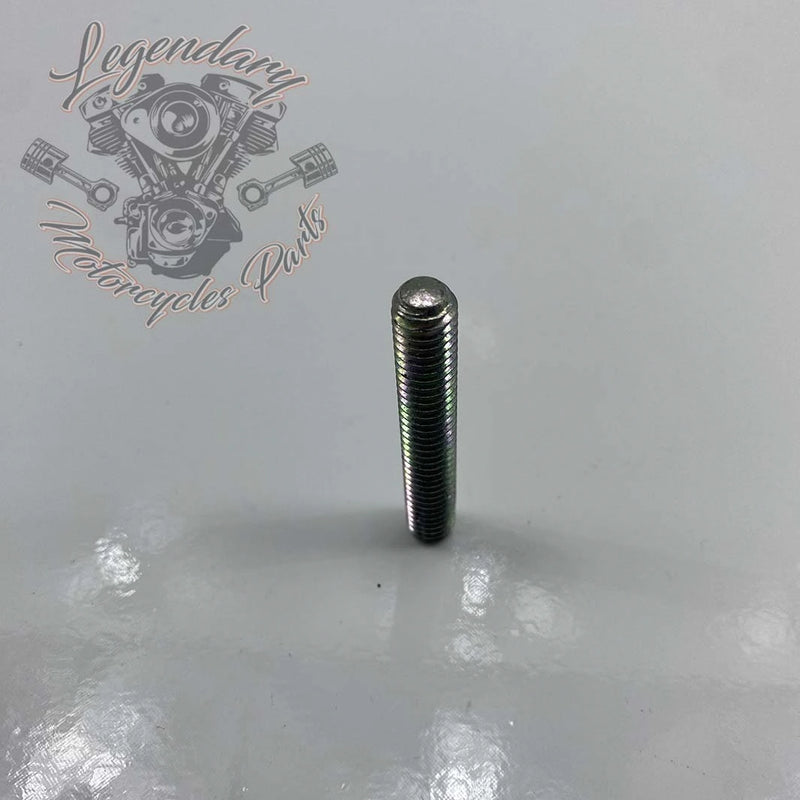 Primair kettingspanner schroef OEM 3250