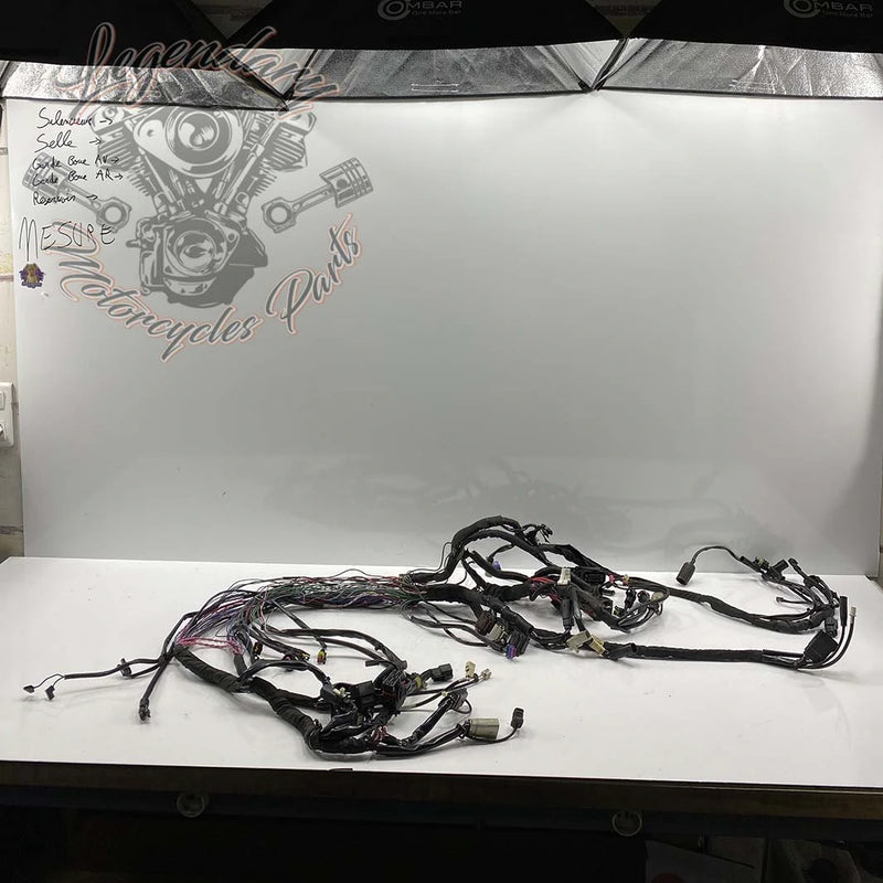 Headlight Harness OEM 69200118