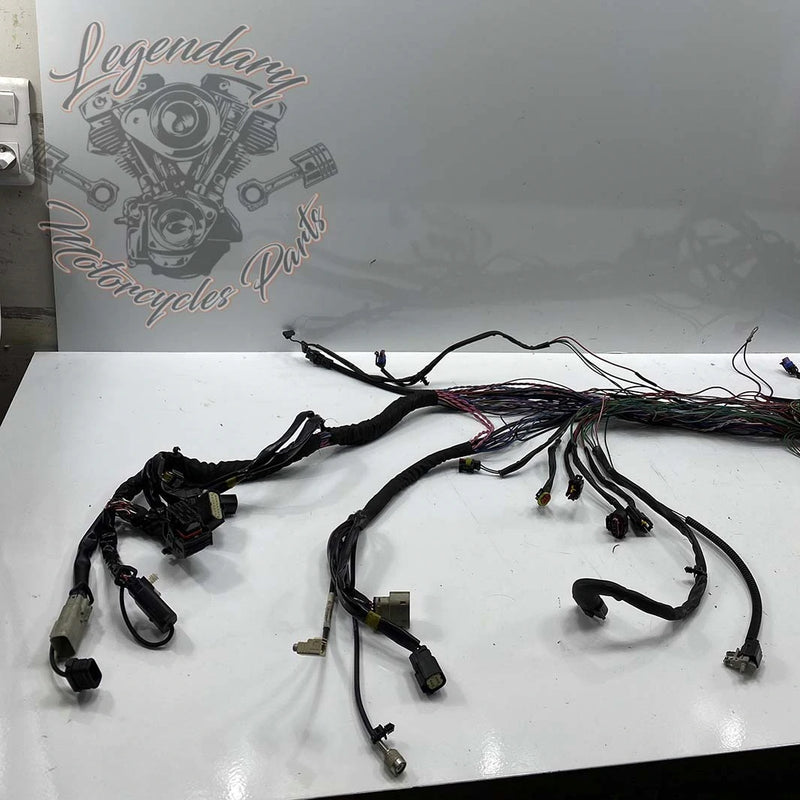 Headlight Harness OEM 69200118