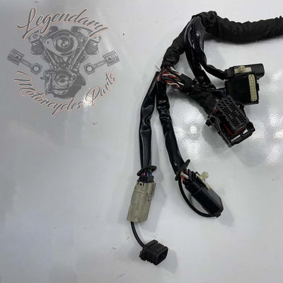 Headlight Harness OEM 69200118