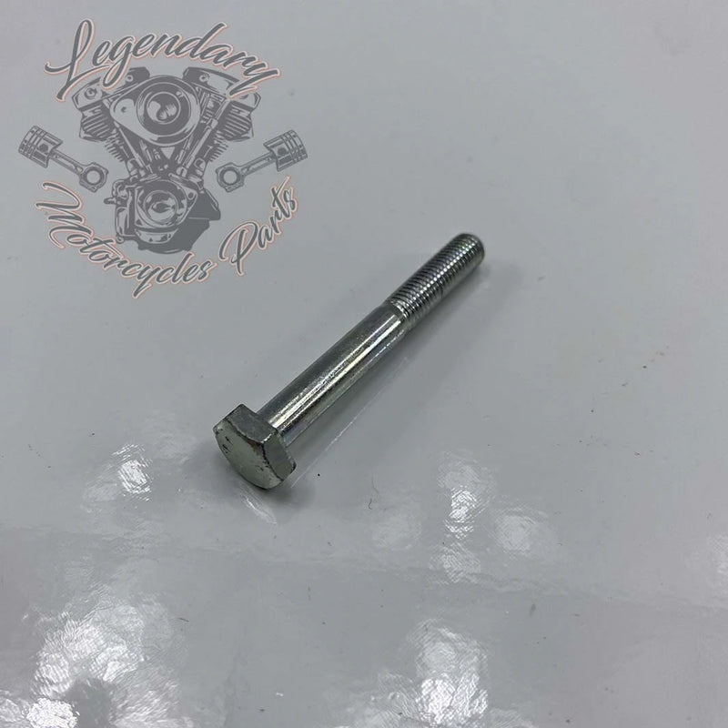 Primair kettingspanner schroef OEM 2614