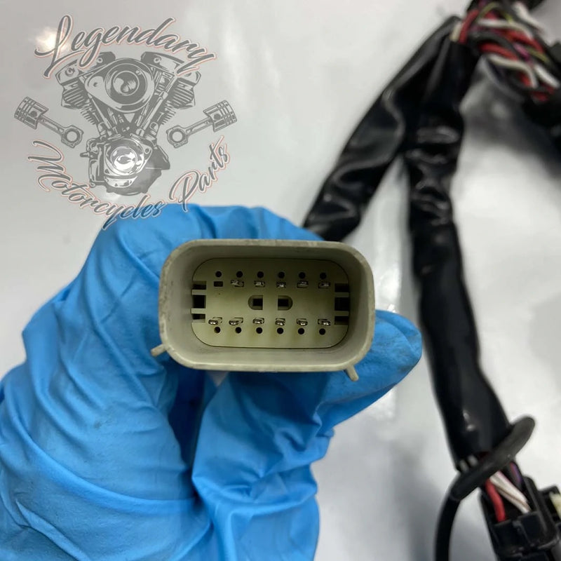 Headlight Harness OEM 69200118