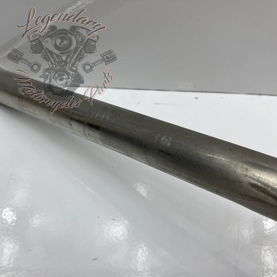 Guidon