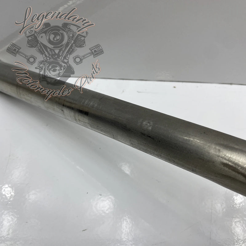 Guidon
