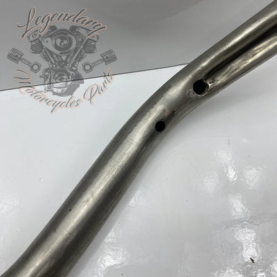 Guidon