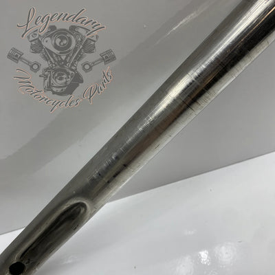 Guidon