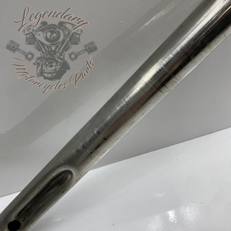 Guidon