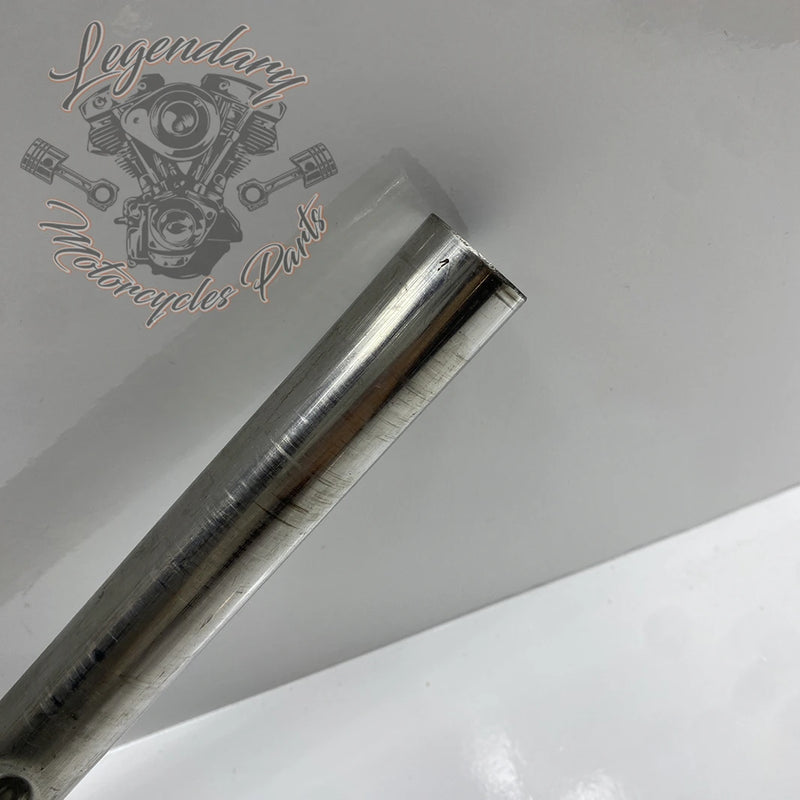 Guidon