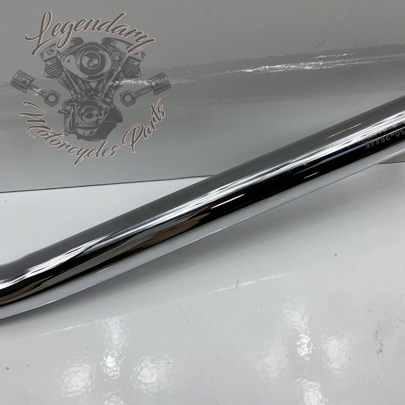 Guidon