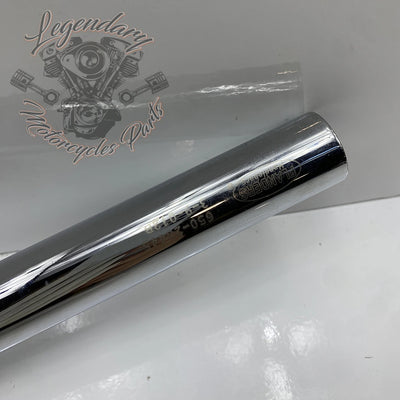 Guidon