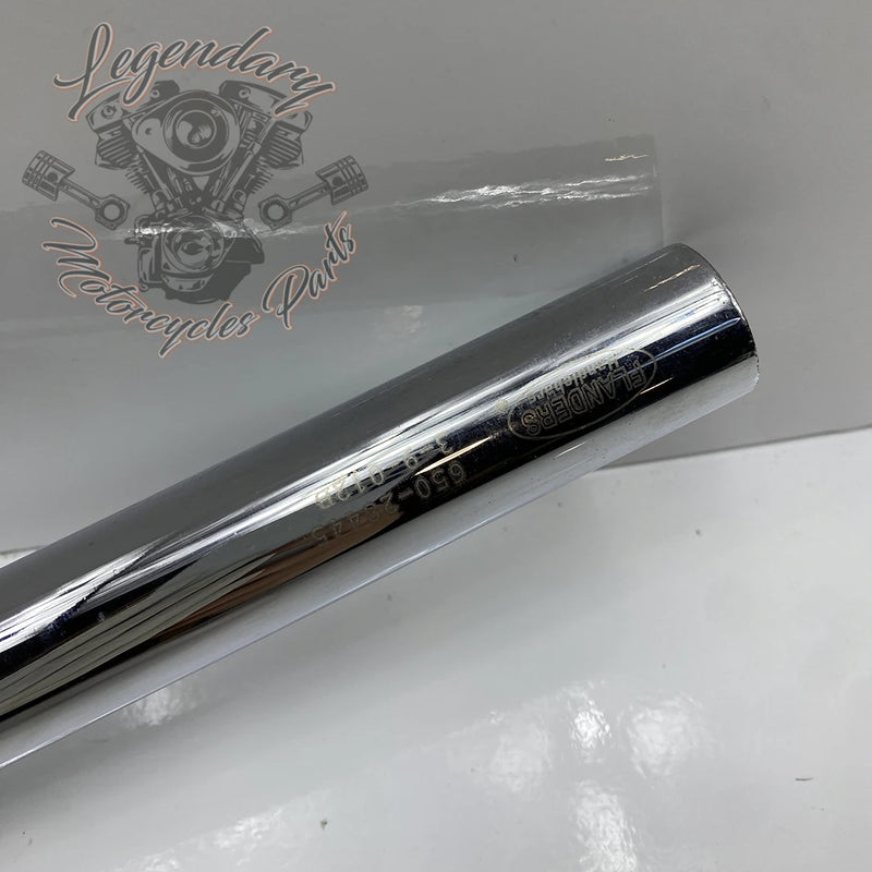 Guidon