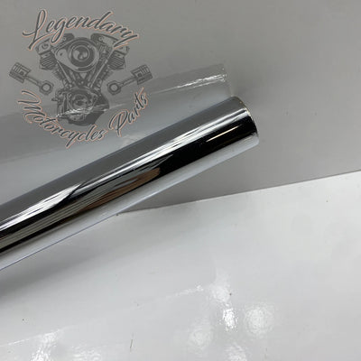 Guidon