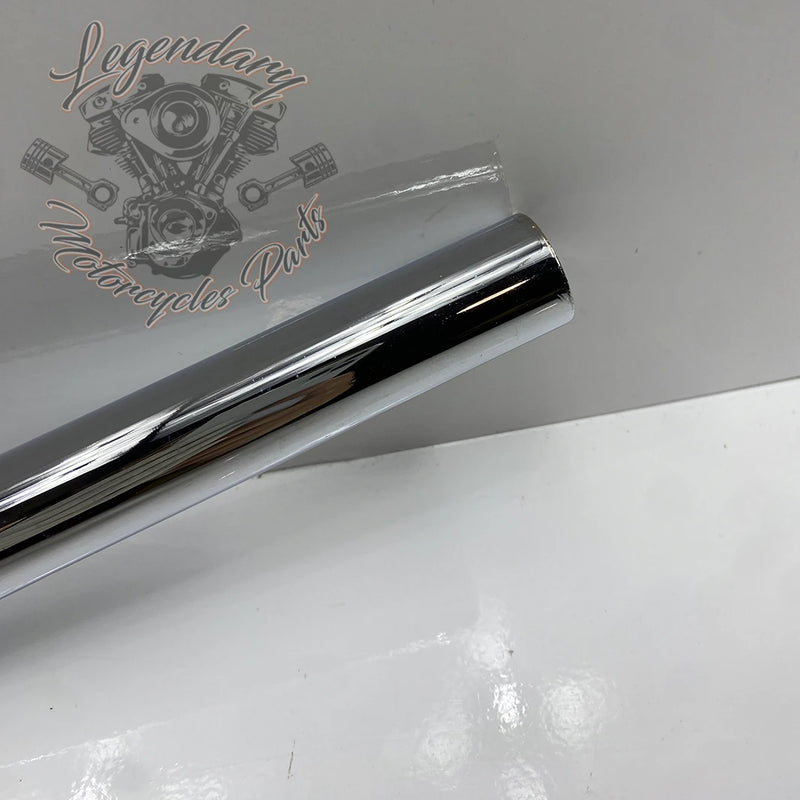 Guidon