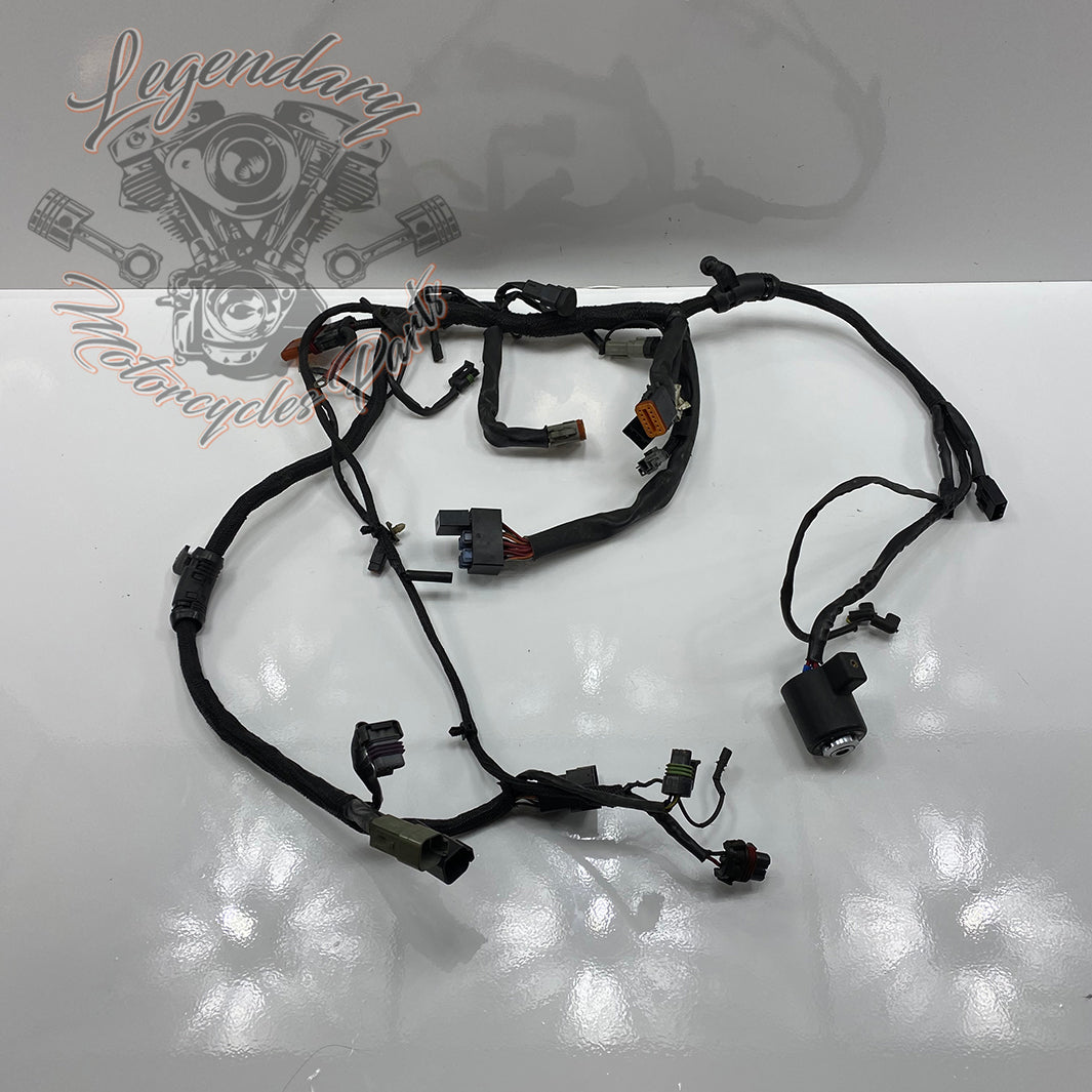 Faisceau principal OEM 70139-04 – Legendary Parts