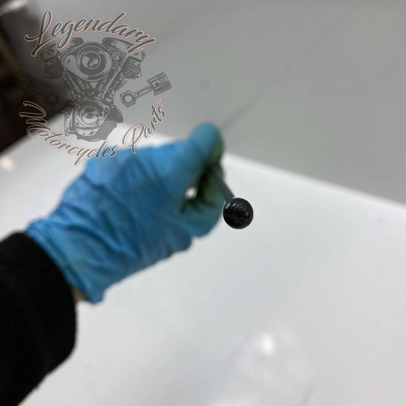 Antenne AM/FM OEM 76503-08