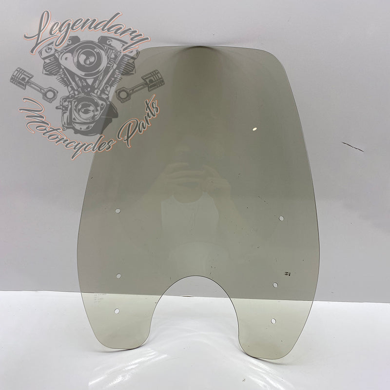 Parabrisas Super Sport OEM 57302-06