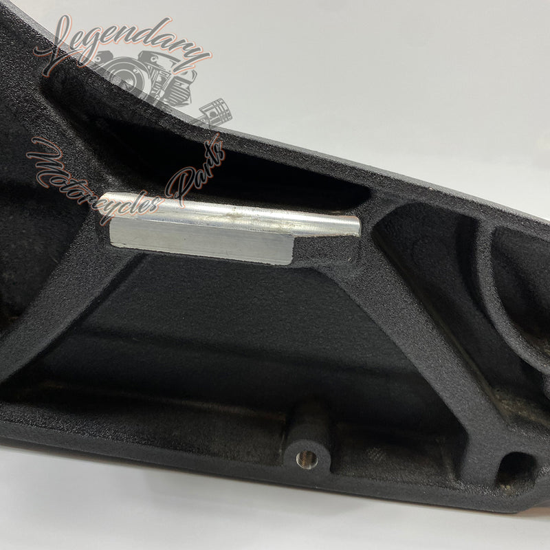 Forcellone OEM 47400114