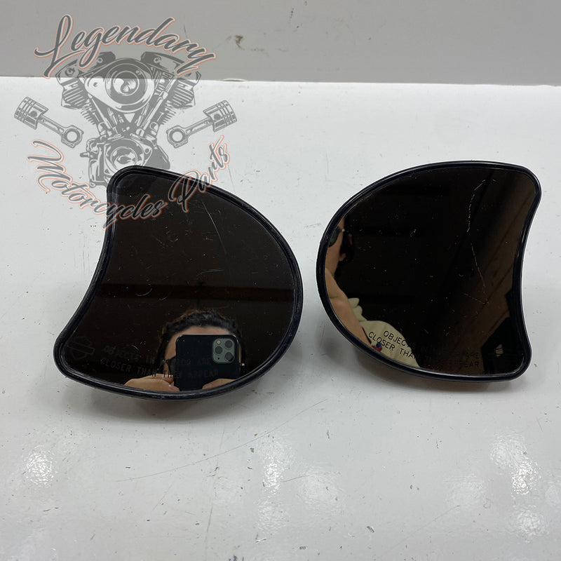Specchio del cupolino OEM 56000012