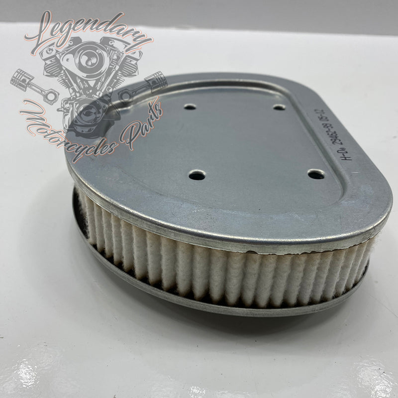 Filtro aria OEM 29462-99