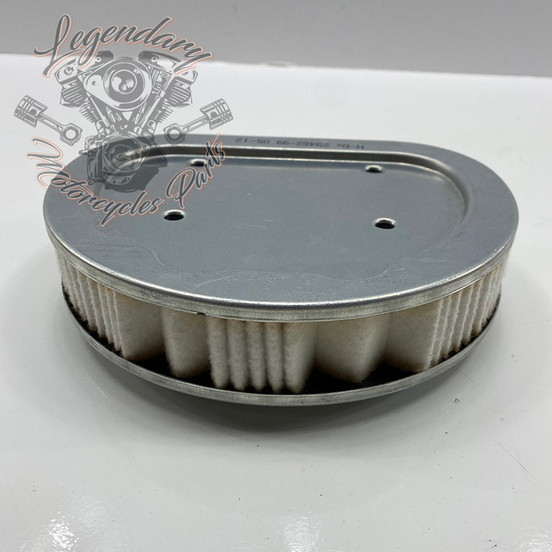Filtro aria OEM 29462-99