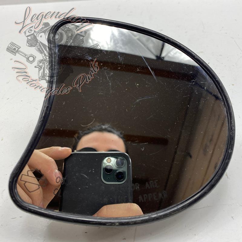 Specchio del cupolino OEM 56000012