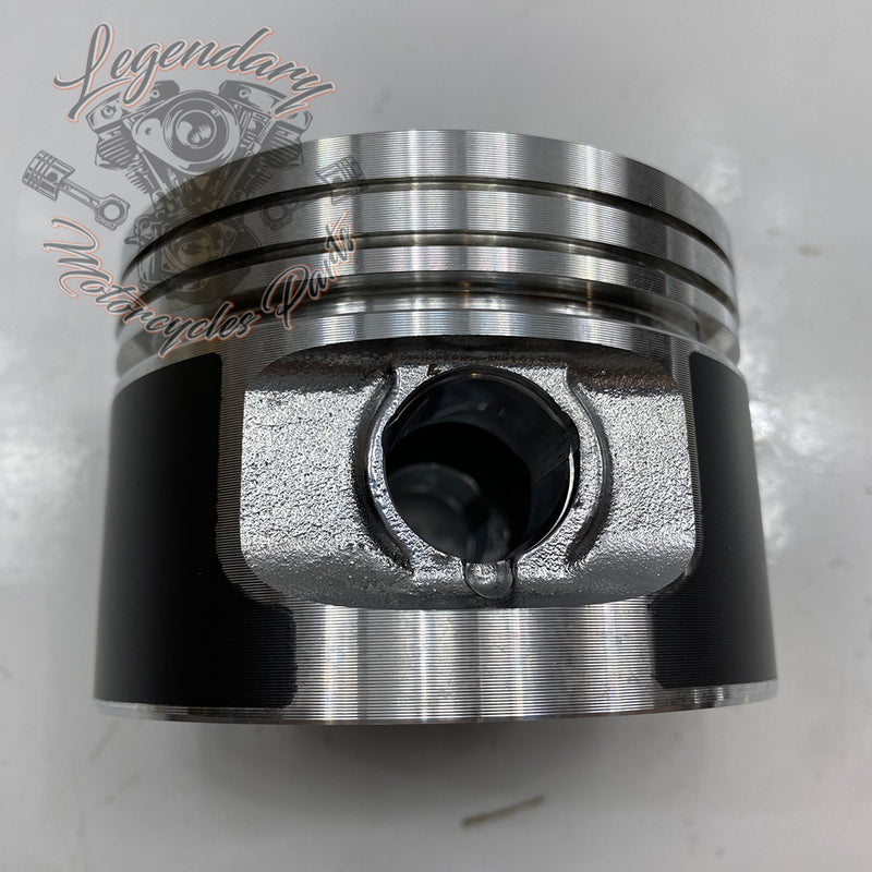 Piston and Ring Kit OEM 21941-83