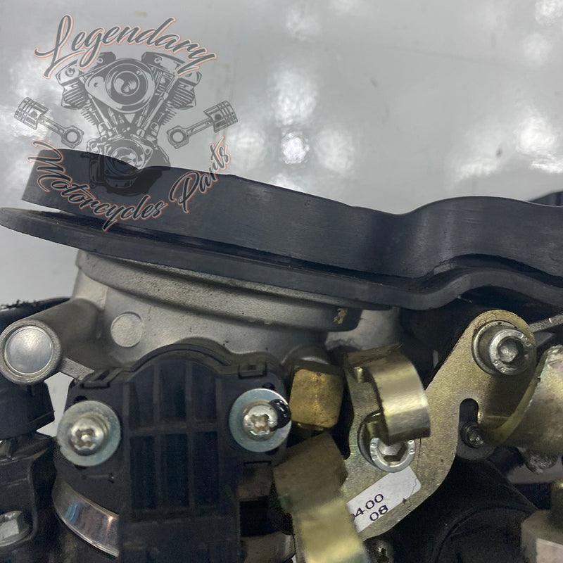 Injection Body OEM P0803A.1AM