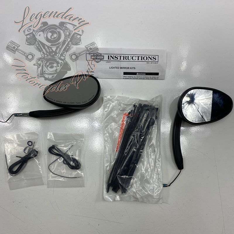 Specchietti con indicatori di direzione integrati OEM 56000081