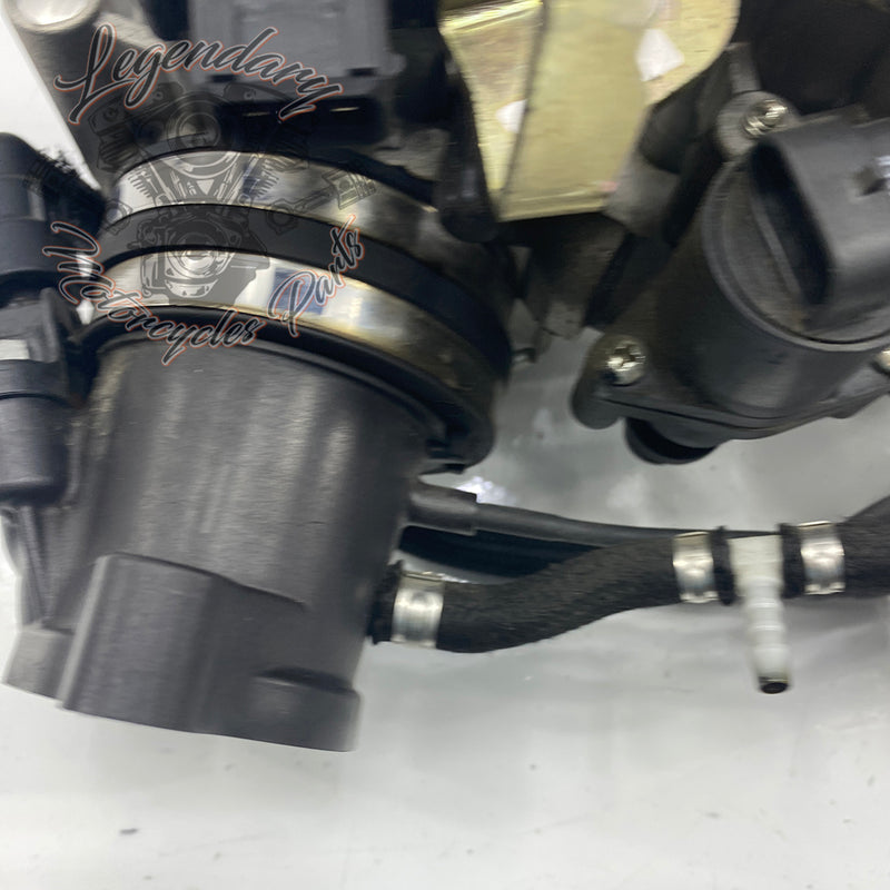 Injection Body OEM P0803A.1AM