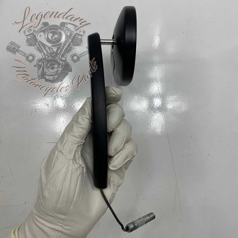 Specchietti con indicatori di direzione integrati OEM 56000081