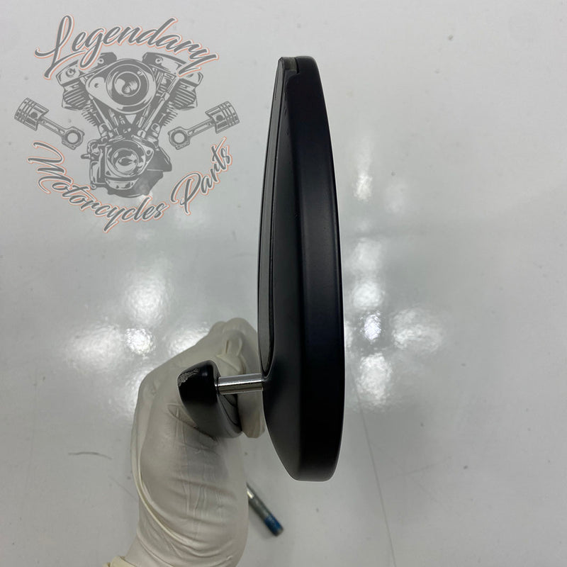 Specchietti con indicatori di direzione integrati OEM 56000081