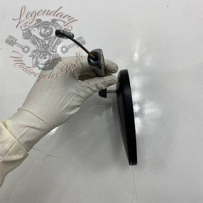Specchietti con indicatori di direzione integrati OEM 56000081
