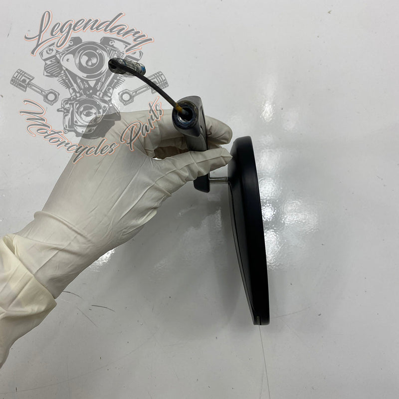 Specchietti con indicatori di direzione integrati OEM 56000081