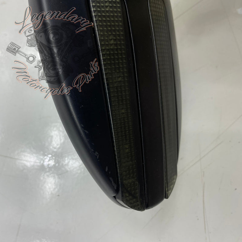 Specchietti con indicatori di direzione integrati OEM 56000081