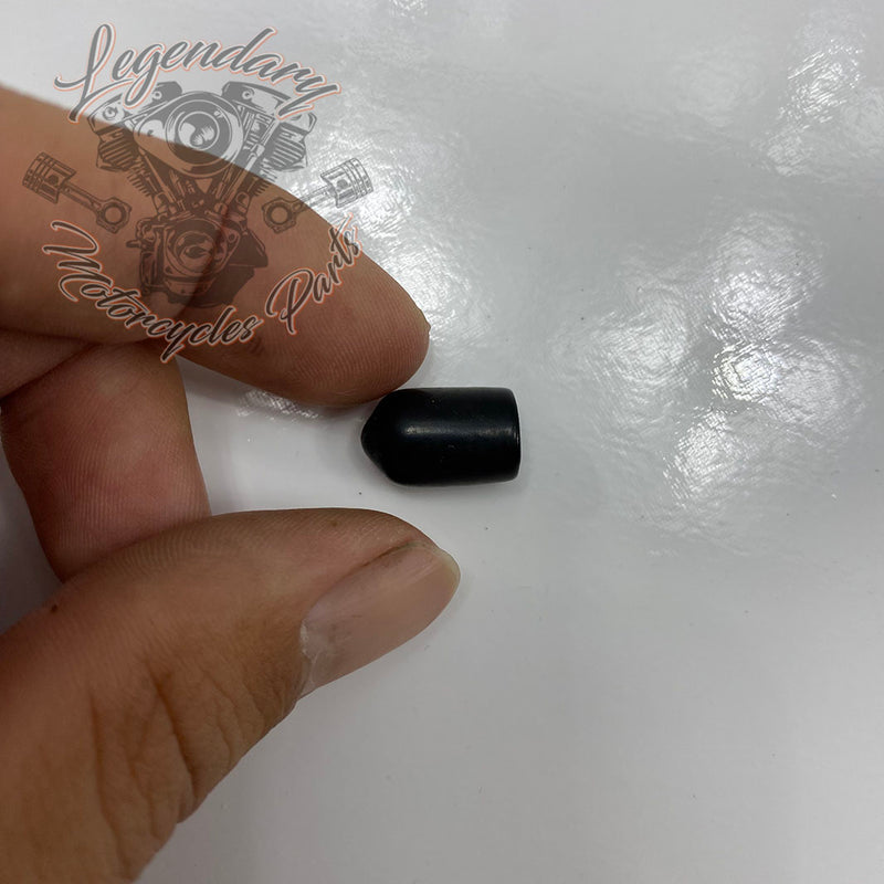 Cabochon protecteur OEM 89586-04