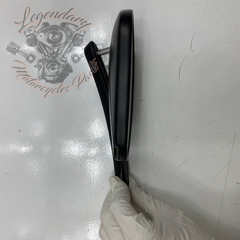 Specchietti con indicatori di direzione integrati OEM 56000081