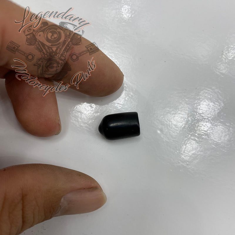 Cabochon protecteur OEM 89586-04
