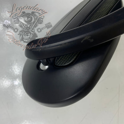Specchietti con indicatori di direzione integrati OEM 56000081