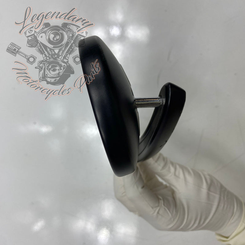 Specchietti con indicatori di direzione integrati OEM 56000081