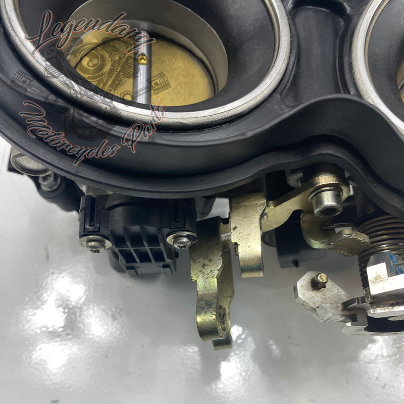 Injection Body OEM P0803A.1AM