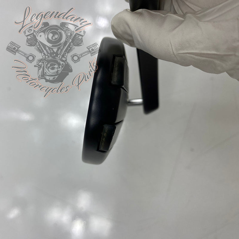 Specchietti con indicatori di direzione integrati OEM 56000081