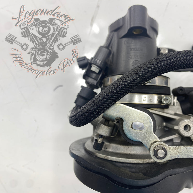 Injection Body OEM P0803A.1AM