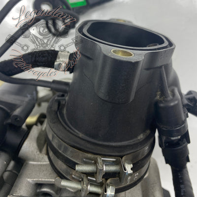 Injection Body OEM P0803A.1AM
